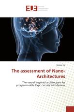 The assessment of Nano-Architectures