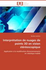 Interprétation de nuages de points 3D en vision stéréoscopique