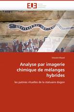 Analyse par imagerie chimique de mélanges hybrides