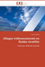 Sillages tridimensionnels en fluides stratifiés