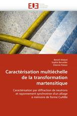 Caractérisation multiéchelle de la transformation martensitique