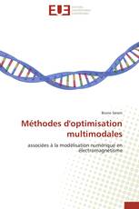 Méthodes d'optimisation multimodales