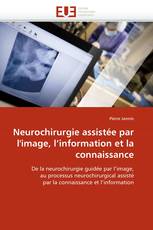 Neurochirurgie assistée par l''image, l''information et la connaissance