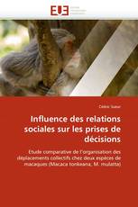 Influence des relations sociales sur les prises de décisions