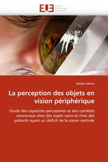 La perception des objets en vision périphérique