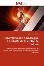 Recombinaison homologue à l''échelle de la molécule unique