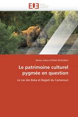 Le patrimoine culturel pygmée en question