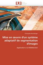 Mise en œuvre d'un système adaptatif de segmentation d'images