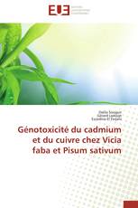 Génotoxicité du cadmium et du cuivre chez Vicia faba et Pisum sativum