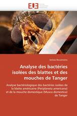 Analyse des bactéries isolées des blattes et des mouches de Tanger