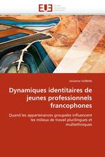 Dynamiques identitaires de jeunes professionnels francophones