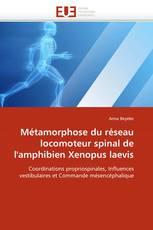 Métamorphose du réseau locomoteur spinal de l'amphibien Xenopus laevis