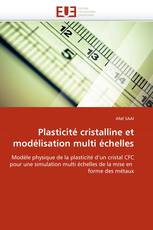 Plasticité cristalline et modélisation multi échelles