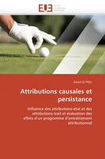 Attributions causales et persistance