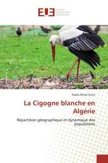 La Cigogne blanche en Algérie