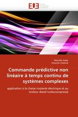 Commande prédictive non linéaire à temps continu de systèmes complexes