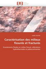 Caractérisation des milieux fissurés et fracturés