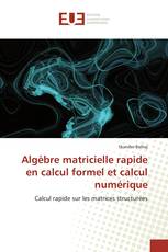 Algèbre matricielle rapide en calcul formel et calcul numérique
