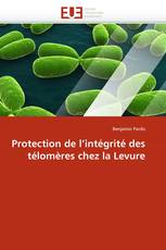 Protection de l'intégrité des télomères chez la Levure