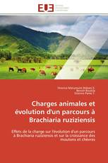 Charges animales et évolution d'un parcours à Brachiaria ruziziensis