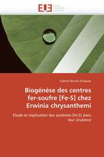 Biogénèse des centres  fer-soufre [Fe-S] chez  Erwinia chrysanthemi