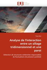 Analyse de l'interaction entre un sillage tridimensionnel et une paroi