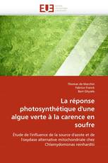 La réponse photosynthétique d'une algue verte à la carence en soufre