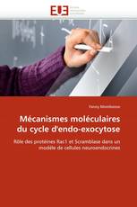 Mécanismes moléculaires du cycle d'endo-exocytose