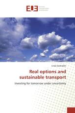 Real options and sustainable transport
