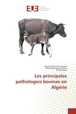 Les principales pathologies bovines en Algérie