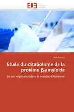 Étude du catabolisme de la protéine β-amyloïde