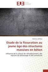 Etude de la fissuration au jeune âge des structures massives en béton