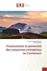 Financement et pérennité des moyennes entreprises au Cameroun