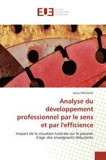 Analyse du développement professionnel par le sens et par l'efficience