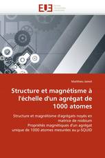 Structure et magnétisme à l'échelle d'un agrégat de 1000 atomes