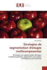 Strategies de segmentation d'images multicomposantes