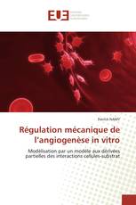 Régulation mécanique de l’angiogenèse in vitro
