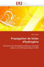 Propagation de fuites d'hydrogène