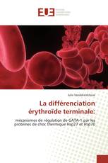 La différenciation érythroïde terminale: