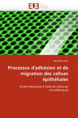 Processus d'adhésion et de migration des cellues épithéliales