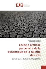 Etude a l'échelle parcellaire de la dynamique de la salinité des sols
