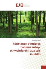 Résistance d’Atriplex halimus subsp. schweinfurthii aux sels solubles