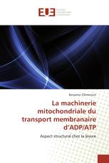 La machinerie mitochondriale du transport membranaire d’ADP/ATP