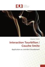 Interaction Tourbillon / Couche limite