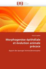 Morphogenèse épithéliale et évolution animale précoce