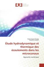 Étude hydrodynamique et thermique des écoulements dans les microcanaux