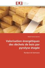 Valorisation énergétiques des déchets de bois par pyrolyse étagée