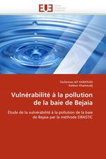 Vulnérabilité à la pollution de la baie de Bejaia
