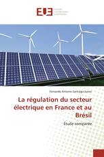 La régulation du secteur électrique en France et au Brésil