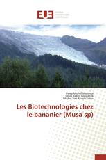 Les Biotechnologies chez le bananier (Musa sp)